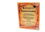 Custom Graduation Plaques - Image 8